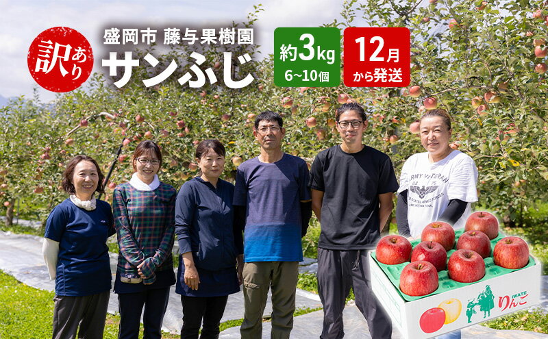 【ふるさと納税】りんご 訳あり サンふじ 約 3kg (6～11玉) 盛岡から「農で人をつなぐ」藤与果樹園 フルーツ 果物 冬 旬 旬のフルーツ 季節のフルーツ 規格外 傷 不揃い 岩手 岩手県 盛岡 盛岡市 玉数指定不可 12月から発送　お届け：2025年11月20日～2026年2月28日 サムネイル2