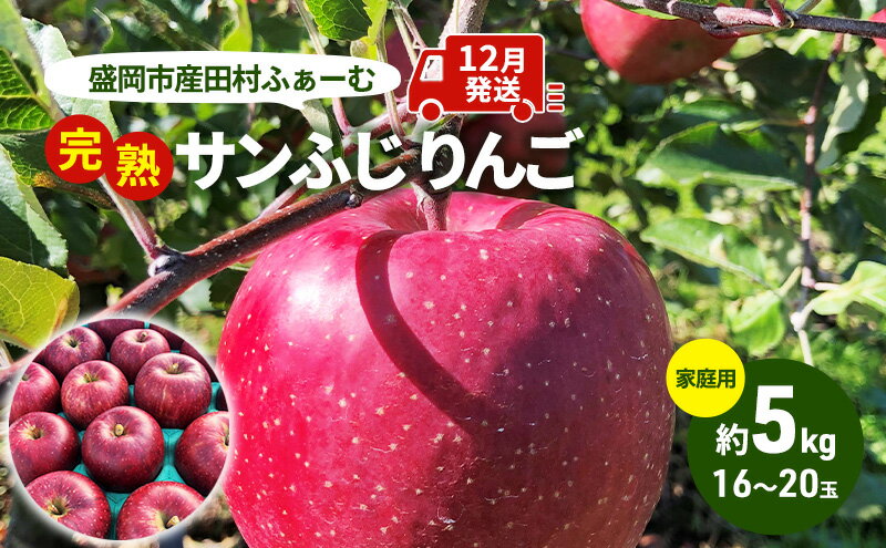 【ふるさと納税】りんご 先行予約 家庭用 完熟 サンふじ 約 5kg (16～20玉) 田村ふぁーむ フルーツ 果物 冬 旬 旬のフルーツ 規格外 傷 不揃い 先行 予約 盛岡市産 林檎 リンゴ 岩手 岩手県 盛岡 盛岡市 12月発送　お届け：2025年12月1日～2025年12月25日 サムネイル2