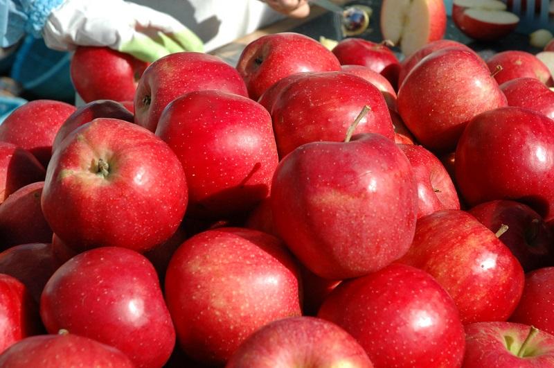 【ふるさと納税】果実酒 林檎 ワイン 720ml × 1本 洋食に合う カシスロゼ 五枚橋ワイナリー アップルワイン シードル シードルワイン ロゼ ロゼワイン アルコール 地酒 お酒 酒 りんご 甘口 やや甘口 岩手りんご 東北 岩手 岩手県 盛岡市 サムネイル3