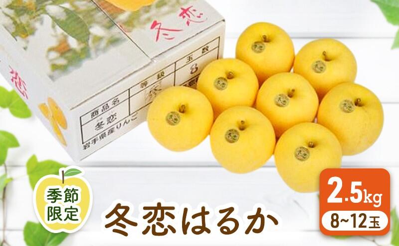 【ふるさと納税】★季節限定★冬恋はるか（2.5kg／8～11個）【季節限定・数量限定】　お届け：2025年12月上旬～12月下旬まで サムネイル2