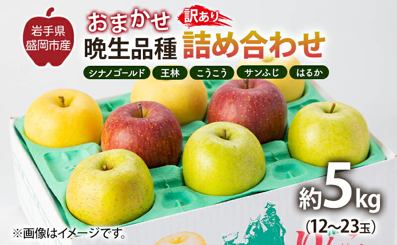 【ふるさと納税】【11月から発送】 りんご 盛岡から「農で人をつなぐ」藤与果樹園：《 訳あり 》おまかせ晩生品種詰め合わせ（ シナノゴールド 王林 こうこう サンふじ はるか ）約5kg 12～23玉 玉数指定不可 詰め合わせ 岩手 盛岡　お届け：2025年11月20日～2026年2月28日 サムネイル2