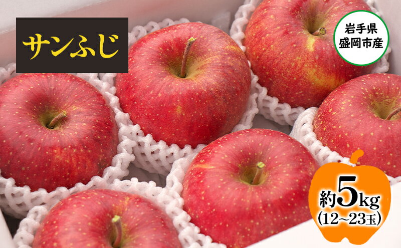 【ふるさと納税】【11月から発送】 りんご 盛岡から「農で人をつなぐ」藤与果樹園： サンふじ 約5kg 12～23玉 玉数指定不可 詰め合わせ 岩手 盛岡　お届け：2025年11月20日～2026年2月28日 サムネイル2