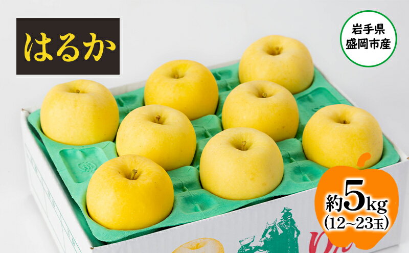 【ふるさと納税】【11月から発送】 りんご 盛岡から「農で人をつなぐ」藤与果樹園： はるか 約5kg 12～23玉 玉数指定不可 詰め合わせ 岩手 盛岡　お届け：2025年11月20日～2026年2月28日 サムネイル2