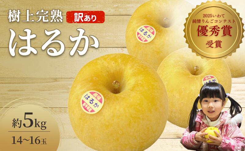 【ふるさと納税】先行予約 訳あり りんご プレミアム はるか 約 5kg 14～16玉 樹上完熟 林檎 リンゴ 果物 くだもの フルーツ 旬の果物 旬のフルーツ 季節の果物 季節のフルーツ 岩手りんご 訳アリ 直送 岩手 岩手県 盛岡市　お届け：2025年12月10日～2025年12月28日 サムネイル2