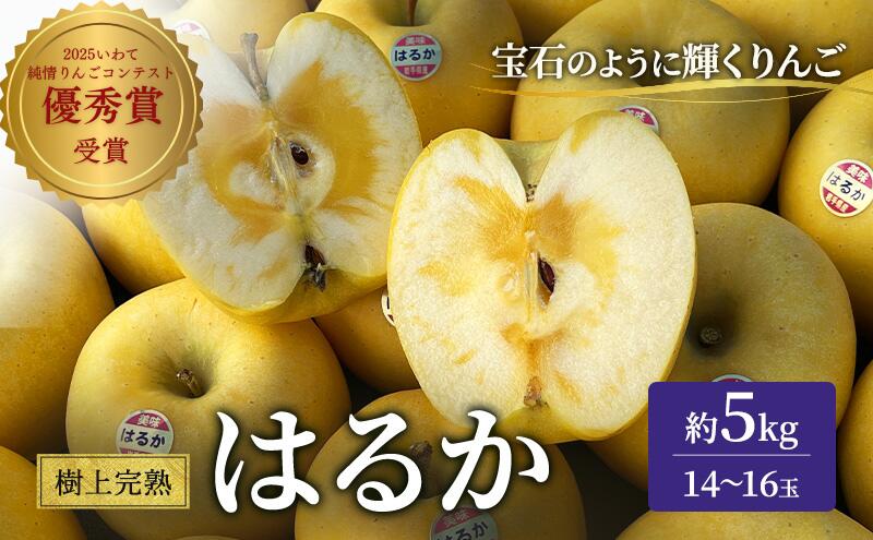 【ふるさと納税】りんご 岩手 樹上完熟 はるか 約 5kg 14～16玉 希少 極上品 フルーツ 果物 おやつ 冬 旬 旬のフルーツ 旬の果物 お取り寄せ 取り寄せ 産地直送 生産者直送 岩手県 盛岡 盛岡市 予約 2025 2025年 年内発送　お届け：2025年12月10日～2025年12月28日 サムネイル2