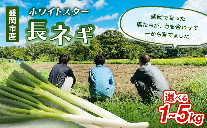 【ふるさと納税】岩手県盛岡市産長ネギ 選べる 1kg/2kg/3kg/4kg/5kg ねぎ 新鮮 野菜 長ネギ 白ネギ 長ねぎ 白ねぎ 葱 国産 甘い 美味しい おいしい 鍋 - 画像2