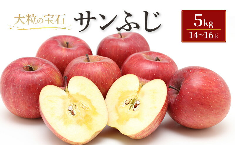 【ふるさと納税】サンふじ 5kg（一般）林檎 リンゴ 果物 フルーツ おやつ デザート 旬の果物 旬のフルーツ 季節の果物 季節のフルーツ 岩手りんご 岩手県 盛岡市 サムネイル2