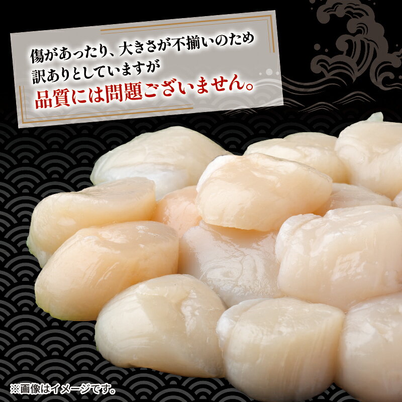 【ふるさと納税】 訳あり ホタテ 冷凍 貝柱 選べる容量 500g 1kg 殻付き8枚 ほたて 帆立 鍋 お鍋 バーベキュー BBQ 炙り 炙り焼き バター焼き 出汁 夕飯 おかず おつまみ 晩酌 海産物 海鮮 魚介 魚介類 大船渡 三陸 岩手県 国産 サムネイル3