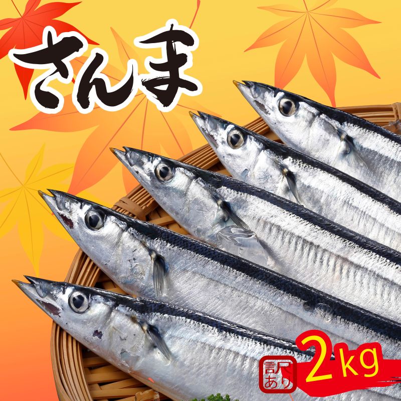 【2025年先行予約】 訳あり さんま 約2kg 冷蔵 秋刀魚 サンマ 生サンマ 海産物 海鮮 魚介 魚介類 大船渡 三陸 岩手県 国産 発送期日 2025年9月〜2025年11月下旬