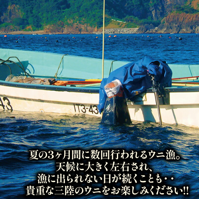 【ふるさと納税】 【2026年 先行予約】 生うに 100g 150g 200g [5〜8月発送] 冷蔵 ミョウバン不使用 選べる容量 うに ウニ 雲丹 ご飯 丼 海鮮丼 ウニ丼 おつまみ テレビ TV 放送 ニュース 番組 岩手県産 鎌田水産 三陸 岩手県 大船渡市 - 画像3