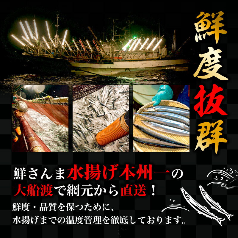 【ふるさと納税】 【2025年先行予約】 訳あり さんま 約2kg 冷蔵 秋刀魚 サンマ 生サンマ 海産物 海鮮 魚介 魚介類 大船渡 三陸 岩手県 国産 発送期日 2025年9月〜2025年11月下旬 サムネイル2