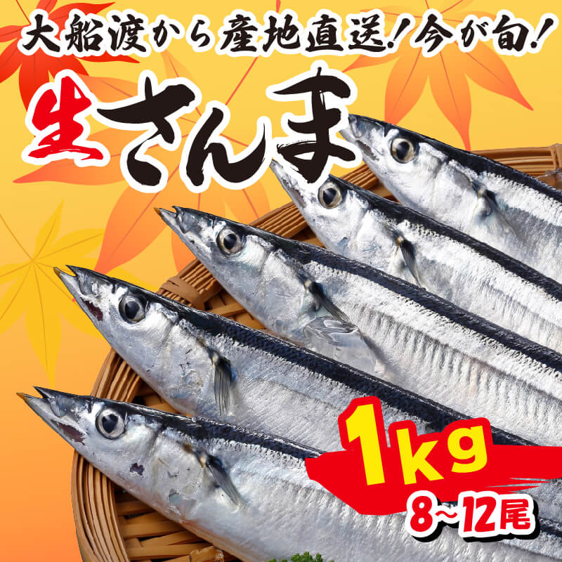 さんま 約1kg 8尾〜12尾 冷蔵 鮮秋刀魚 [発送:2025年9月〜2025年11月下旬] 三陸 岩手 大船渡市 サンマ 秋刀魚 生