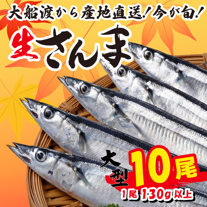 さんま 大型10尾 冷蔵 期間限定 [発送:2025年9月〜2025年11月下旬頃まで] サンマ 秋刀魚 三陸 岩手 大船渡市