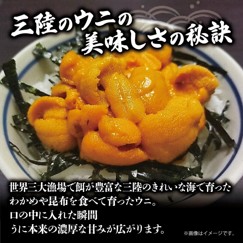 【ふるさと納税】 岩手県産 半生うに 200g 100g×2 冷凍 Sea urchin うに キタムラサキウニ ミョウバン不使用 無添加 雲丹 海鮮丼 寿司 ウニ丼 丼 ご飯 ごはん おかず 晩酌 おつまみ 魚介 刺身 小分け 岩手 三陸 大船渡市 サムネイル2
