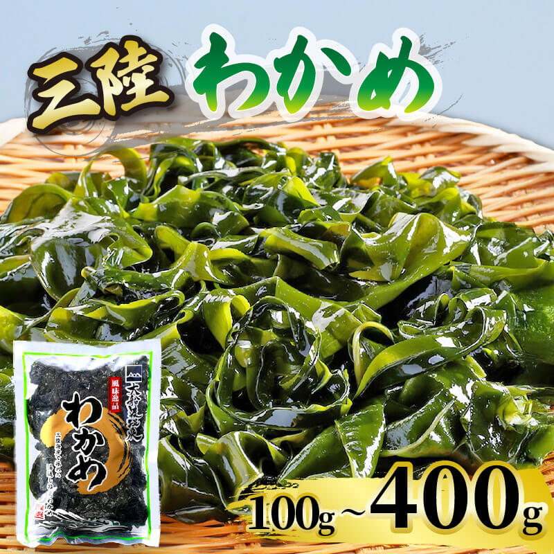わかめ 選べる 容量 100g～400g 湯通し塩蔵わかめ 海鮮 海藻 魚貝類 魚介類 小分け みそ汁 スープ 酢の物 三陸産 岩手県 大船渡市