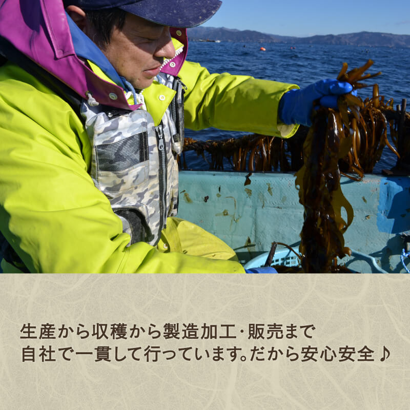 【ふるさと納税】 わかめ 選べる 容量 100g～400g 湯通し塩蔵わかめ 海鮮 海藻 魚貝類 魚介類 小分け みそ汁 スープ 酢の物 三陸産 岩手県 大船渡市 サムネイル2