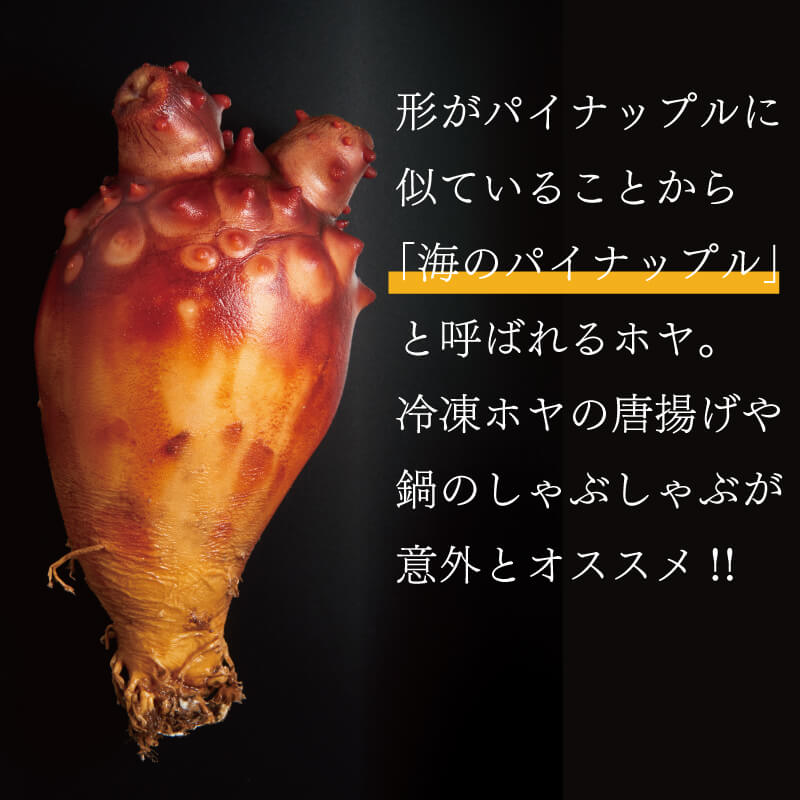 【ふるさと納税】 ほや 計1.2kg (300g×3) / (100g×3) ホヤ Hoya 冷凍 串焼き フライ 刺身 おさしみ お刺身 ごはん 夕飯 おかず おつまみ 晩酌 米 珍味 海産物 海鮮 魚介 魚介類 大船渡 三陸 岩手県 国産 サムネイル3