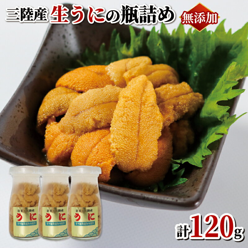 生ウニ 牛乳瓶 120g (40g×3本) 添加物無添加 冷蔵 ミョウバン不使用 うに 生うに うに 国産 岩手県産 天然 キタムラサキウニ 雲丹 大船渡市 岩手県 ウニ丼 刺身 うに丼