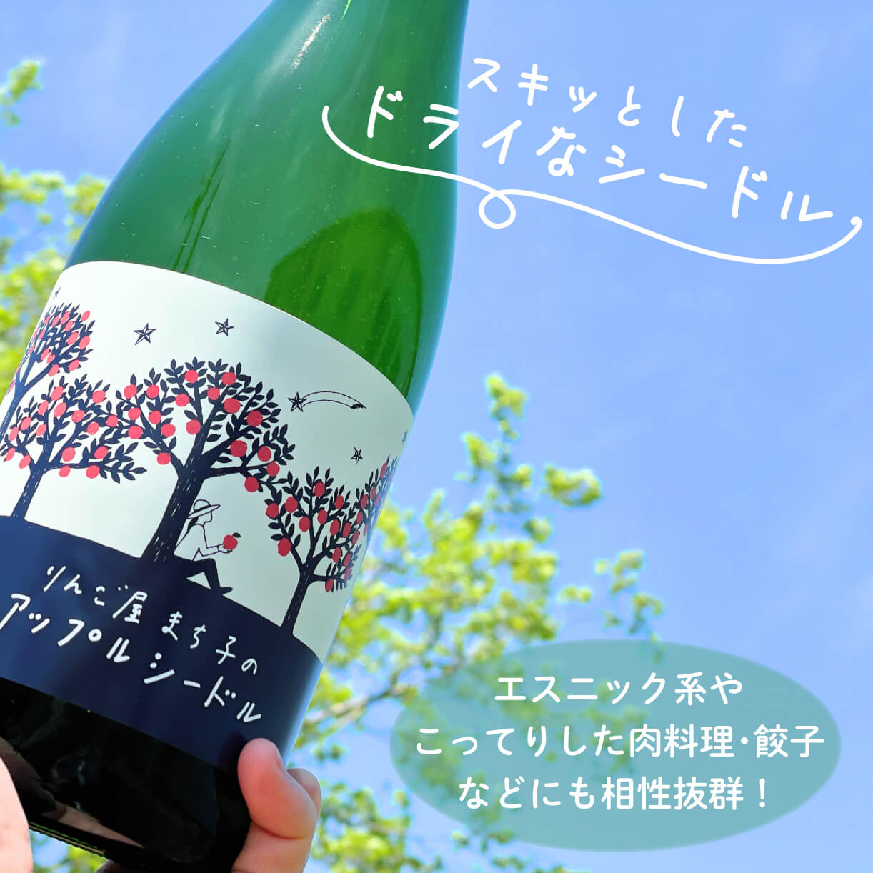 【ふるさと納税】 アップル シードル 750ml ワイン 500ml 2本セット 国産 白ワイン 白 辛口 りんご 林檎 りんごワイン 酒 果実酒 お酒 アルコール 飲料 飲み比べ スパークリングワイン 米崎りんご 14000円 サムネイル2