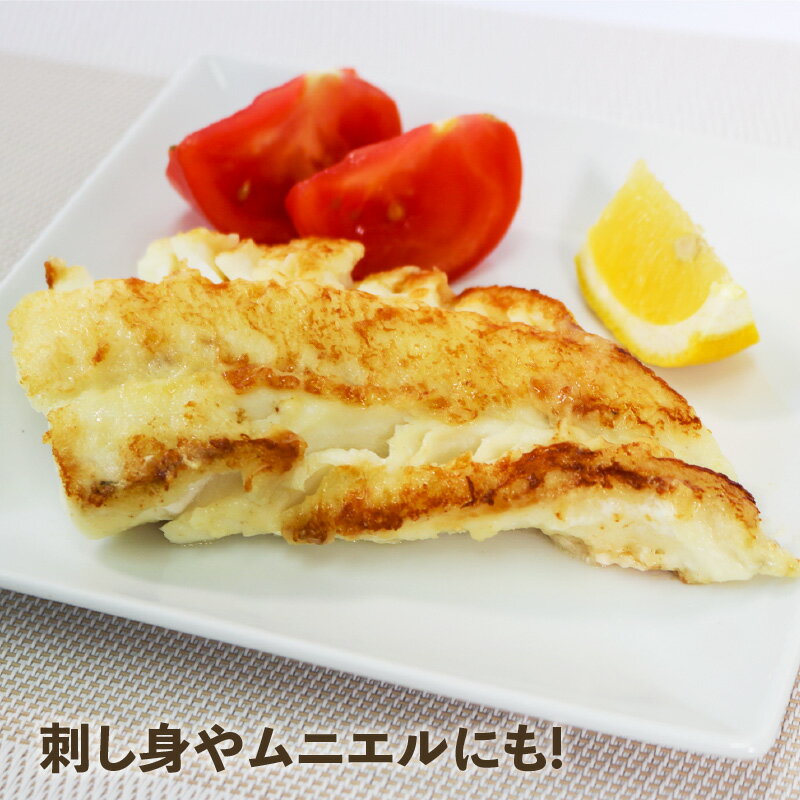 【ふるさと納税】 真タラ フィレ 約1kg 鱈 たら 下処理済 刺身 刺し身 柵 たら 鱈 タラ おさしみ 刺し身 切り身 魚介 魚介 フライ 揚げ物 鍋 お鍋 おつまみ 晩酌 海産物 海鮮 大船渡 三陸 岩手県 サムネイル3