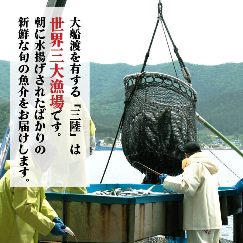 【ふるさと納税】 鮮魚 旬 獲れたて セット 選べる容量 鮮魚便 海鮮 魚貝類 魚介類 牡蠣 イカ 刺身 岩手 大船渡 詰め合わせ 鮮魚ボックス さかな おさかな 魚 海の幸 福袋 FISH BBQ ごはん 夕飯 おかず おつまみ 晩酌 米 丼 三陸産 岩手県 大船渡市 サムネイル2