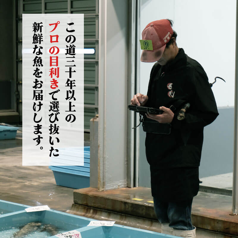 【ふるさと納税】 鮮魚 旬 獲れたて セット 選べる容量 鮮魚便 海鮮 魚貝類 魚介類 牡蠣 イカ 刺身 岩手 大船渡 詰め合わせ 鮮魚ボックス さかな おさかな 魚 海の幸 福袋 FISH BBQ ごはん 夕飯 おかず おつまみ 晩酌 米 丼 三陸産 岩手県 大船渡市 サムネイル3