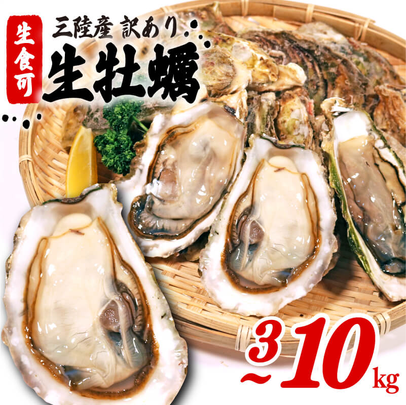 [3kg/6kgはスピード配送] 訳あり 牡蠣 冷凍 3kg/5kg/6kg/10kg 生食可 かき カキ 岩手県産 殻付き 生食 新鮮 濃厚 わけあり 大きさ 不揃い 三陸 産 カンカン焼き バーベキュー 鍋 キャンプ 貝 レビュー 高評価 岩手県 大船渡市 送料無料 10000円 すぐ 届く