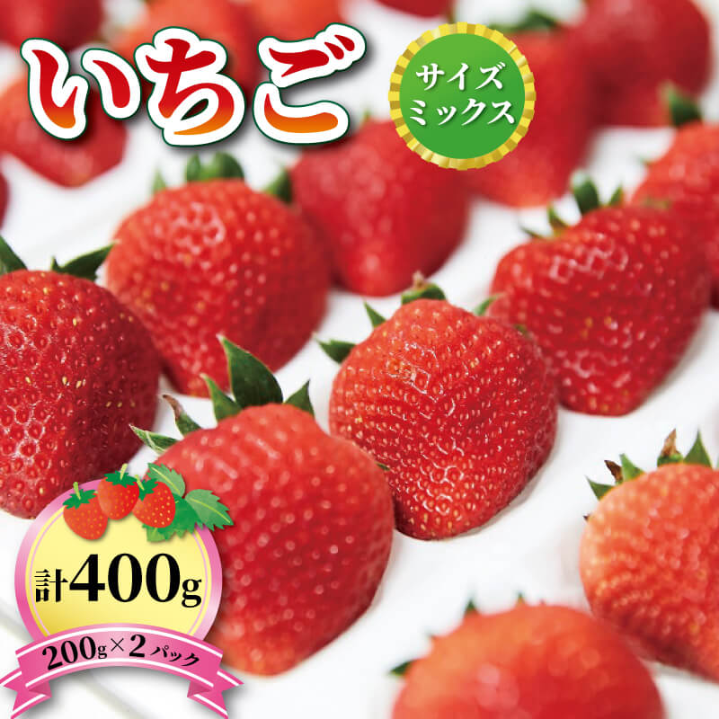 いちご 1種 400g ( 200g × 2 ) 6～12月お届け 品種おまかせ フルーツ 果物 苺 イチゴ なつあかり 信大BS8-9 夏のしずく 夏の輝 すずあかね リアスター夏苺 夏いちご 三陸産 大船渡 国産 期間限定 季節限定