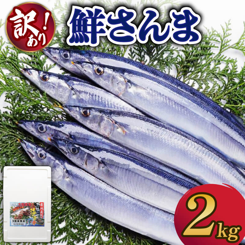 【訳あり】 秋刀魚 約2kg 冷蔵 [発送:2025年9月〜2025年11月末] さんま 生さんま 鮮さんま 鮮魚 ふるさと納税 不揃い 生サンマ 規格外 魚 焼き魚 旬 産地直送 季節 限定 海鮮 大船渡 三陸三陸 岩手 大船渡市 10000円