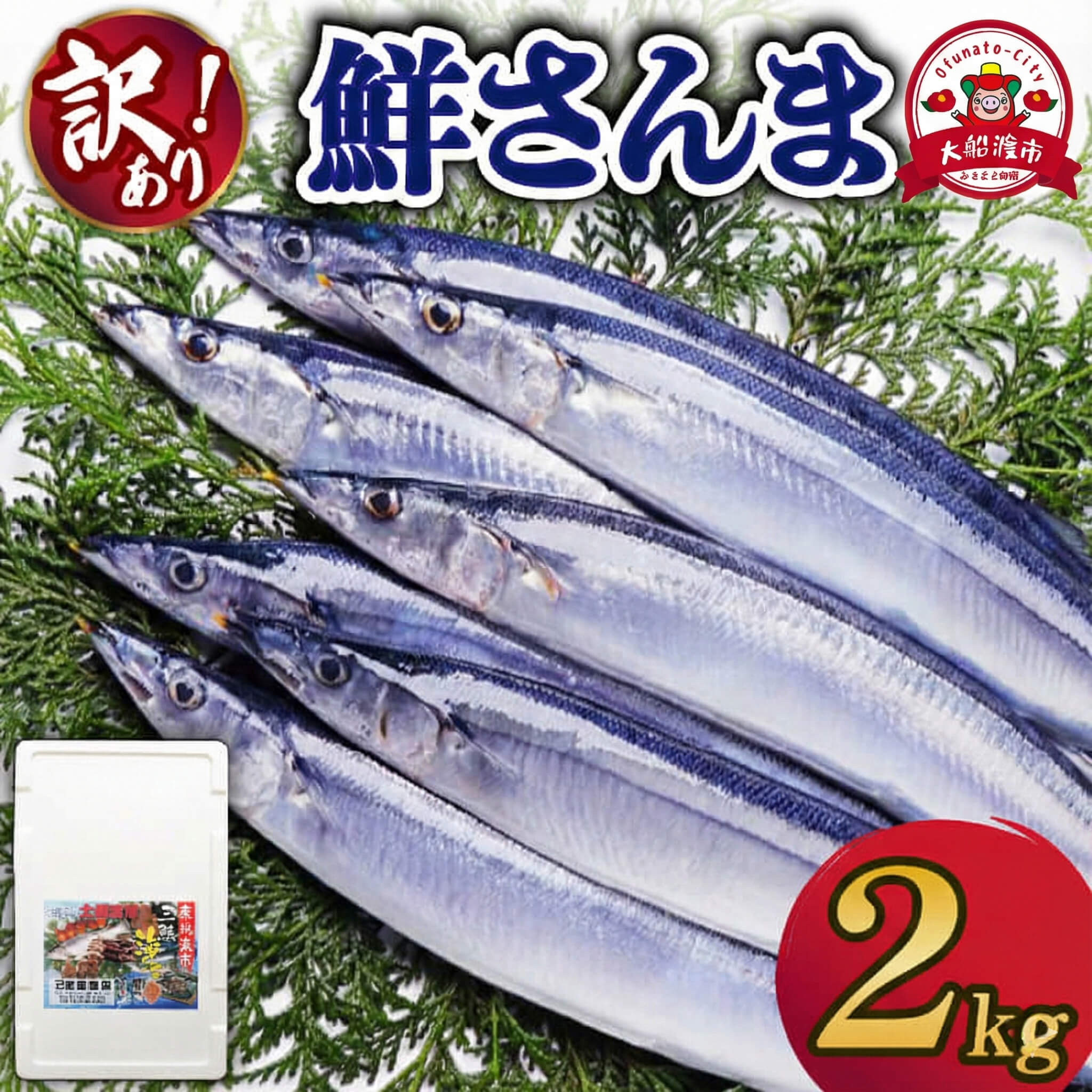 【先行予約】 訳あり さんま 約2kg 冷蔵 [発送:2026年9月〜2026年11月末] サンマ 秋刀魚 生さんま 鮮さんま 鮮魚 ふるさと納税 不揃い 生サンマ 規格外 魚 焼き魚 旬 産地直送 季節 限定 海鮮 大船渡 三陸三陸 岩手 大船渡市