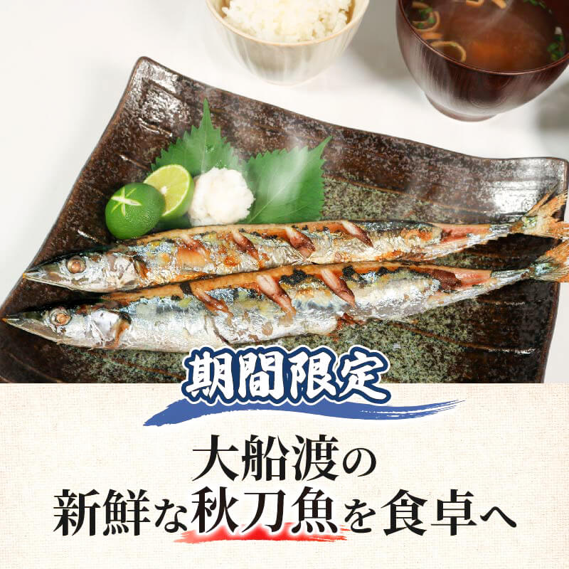 【ふるさと納税】 【訳あり】 秋刀魚 約2kg 冷蔵 [発送:2025年9月〜2025年11月末] さんま 生さんま 鮮さんま 鮮魚 ふるさと納税 不揃い 生サンマ 規格外 魚 焼き魚 旬 産地直送 季節 限定 海鮮 大船渡 三陸三陸 岩手 大船渡市 10000円 サムネイル2
