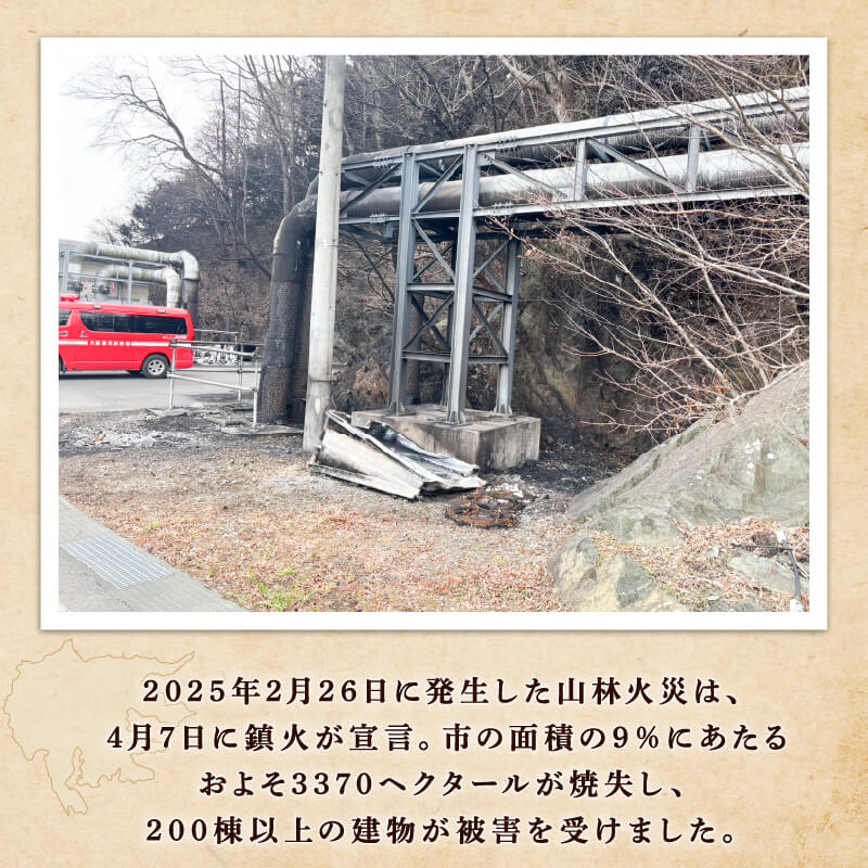 【ふるさと納税】 翡翠のしずく ストラップ 1個 復興 三陸 翡翠あわび 簡易包装 鮑 蝦夷あわび アワビ 鮑 Abalone 海産物 海鮮 魚介 魚介類 贈答 プレゼント ペア 手作り 大船渡 災害 被災 火災 岩手県 国産 サムネイル3