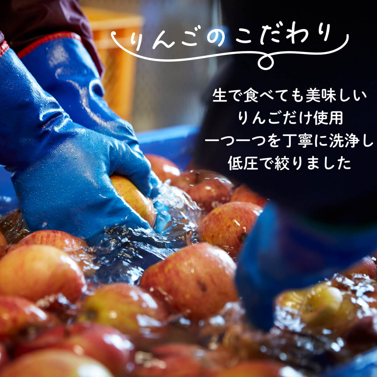 【ふるさと納税】 大船渡で造るワイン アップルワイン 辛口 果実酒 500ml × 1本 ワイン 酒 お酒 果物 りんご 林檎 ギフト 夏ギフト 冬ギフト 父の日 母の日 お中元 お歳暮 三陸 岩手県 大船渡市 サムネイル2