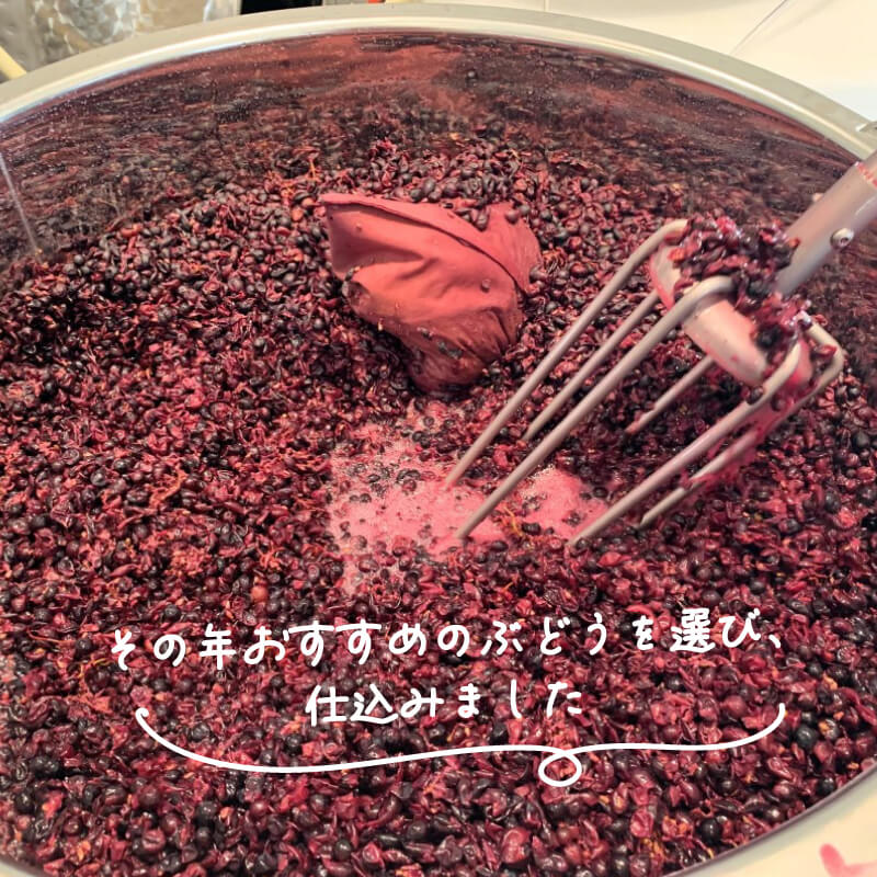 【ふるさと納税】 -大船渡で造るワイン- メルロ 赤ワイン 辛口 750ml スリーピークスワイナリー おつまみ ワイン ワインセット wine wainn ボルドー チーズ グラス 国産 大船渡 辛口ワイン ワイン ワインセット wine wainn ギフト 贈答品 贈り物 お土産 土産 手土産 サムネイル3