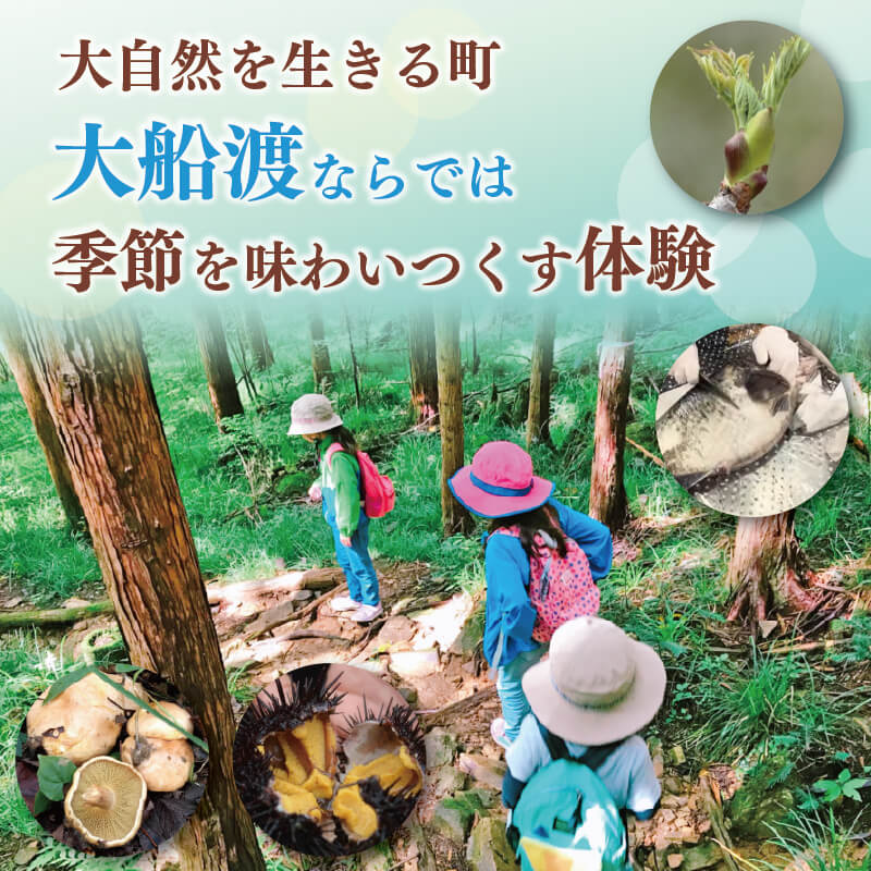 【ふるさと納税】 季節の三陸体験 体験チケット 選べる (1～3名様分/1体験) 三陸アクティブ 三陸 大船渡 大船渡市 体験 体験チケット チケット 夏休み 冬休み 春休み うに ウニ 山菜 山菜取り キノコ きのこ きのこ狩り キノコ狩り 鱈 たら タラ 季節 自然 旬 春 夏 秋 冬 サムネイル2