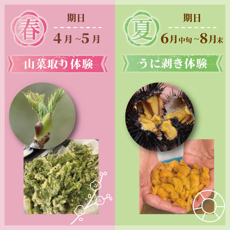 【ふるさと納税】 季節の三陸体験 体験チケット 選べる (1～3名様分/1体験) 三陸アクティブ 三陸 大船渡 大船渡市 体験 体験チケット チケット 夏休み 冬休み 春休み うに ウニ 山菜 山菜取り キノコ きのこ きのこ狩り キノコ狩り 鱈 たら タラ 季節 自然 旬 春 夏 秋 冬 サムネイル3