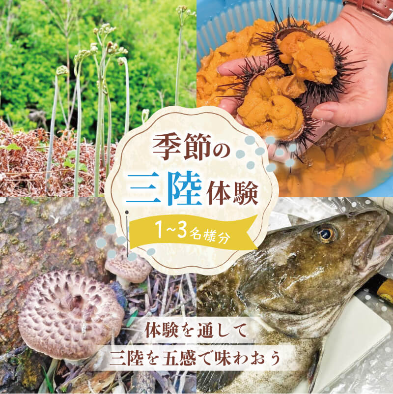 季節の三陸体験 体験チケット 選べる (1～3名様分/1体験) 三陸アクティブ 三陸 大船渡 大船渡市 体験 体験チケット チケット 夏休み 冬休み 春休み うに ウニ 山菜 山菜取り キノコ きのこ きのこ狩り キノコ狩り 鱈 たら タラ 季節 自然 旬 春 夏 秋 冬