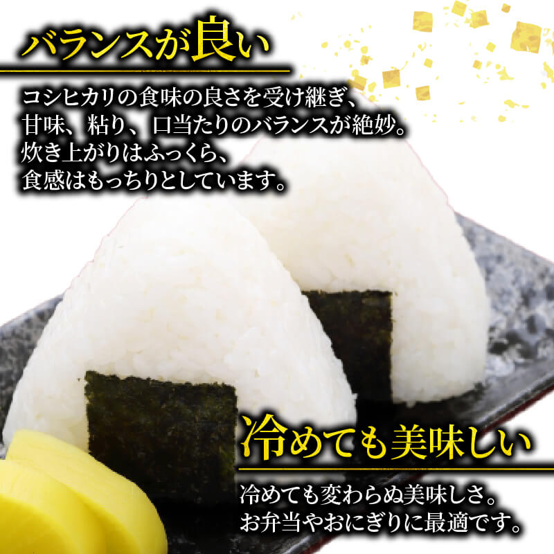 【ふるさと納税】 新米 令和7年度 ひとめぼれ 選べる 5kg 10kg 20kg 精米 岩手県産 米 白米 はくまい コメ rice ごはん 常温 常温保存 保存 農家 農作物 栄養 夕飯 大船渡 三陸 岩手県 国産 サムネイル3
