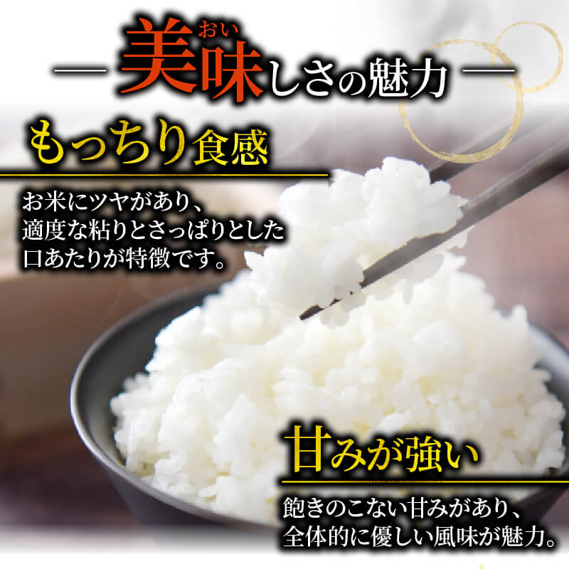 【ふるさと納税】 新米 令和7年度 ひとめぼれ 選べる 5kg 10kg 20kg 精米 岩手県産 米 白米 はくまい コメ rice ごはん 常温 常温保存 保存 農家 農作物 栄養 夕飯 大船渡 三陸 岩手県 国産 サムネイル2