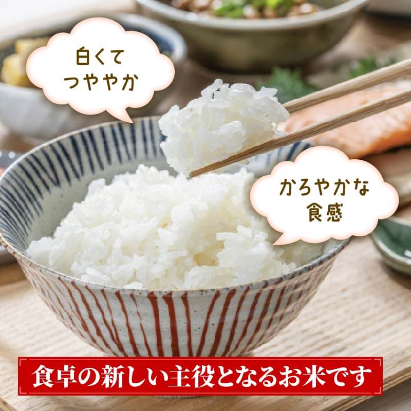 【ふるさと納税】 銀河のしずく 一等米 精米 選べる 2kg〜10kg 単月 / 定期便 2回 3回 6回 9回 12回 パックライス岩手県産 米 白米 はくまい コメ rice ごはん 常温 常温保存 保存 農家 農作物 栄養 夕飯 大船渡 三陸 岩手県 国産 サムネイル3