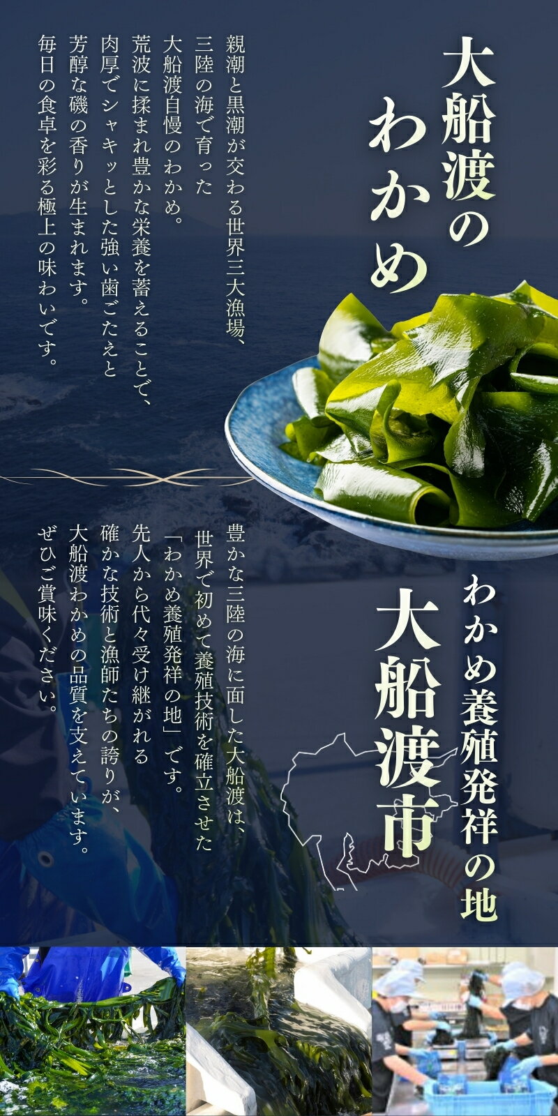 【ふるさと納税】 おさしみわかめ 選べる 1kg 200g×5袋 わかめ 国産 三陸わかめ 塩蔵わかめ お刺身 刺身 海鮮 海藻 魚貝類 魚介類 小分け 刺し身 さしみ おさしみ みそ汁 スープ 酢の物 3千円 1万円 三千円 一万円 3000円以内 10000円以内 三陸産 岩手県 大船渡市 - 画像2