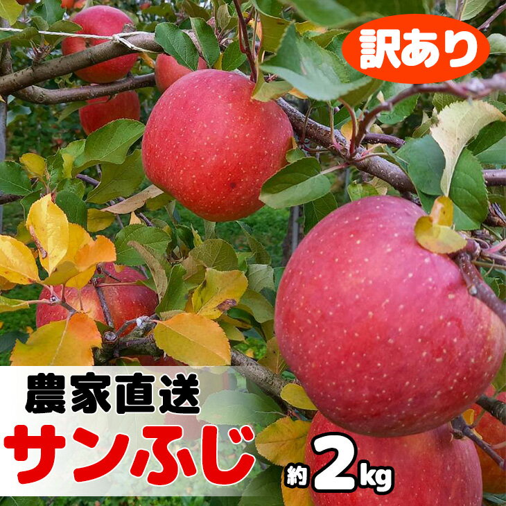 【訳あり】農園直送 ふるさと納税 りんご サンふじ（花巻りんご）約2kg