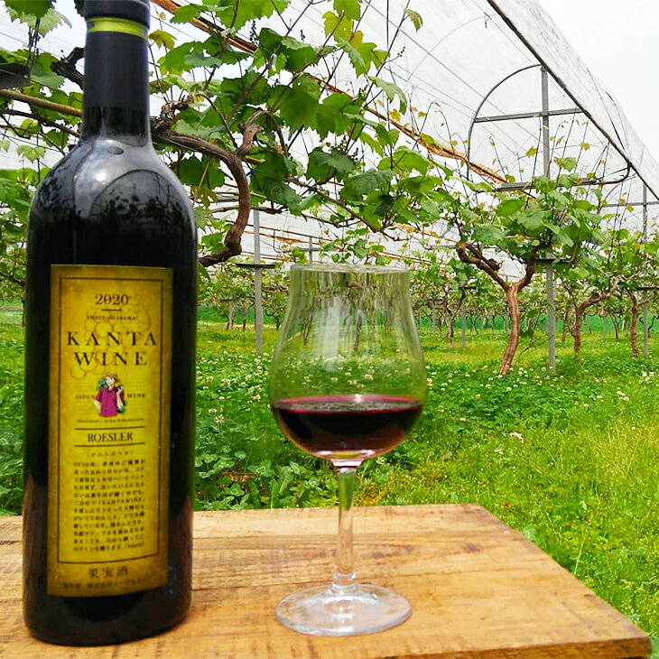 【ふるさと納税】ロースラー ワイン KANTA WINE2024(赤) 750ml×4本セット かんたわいん かんたはうす 赤ワイン 花巻市 大迫 地域おこし協力隊 サムネイル2