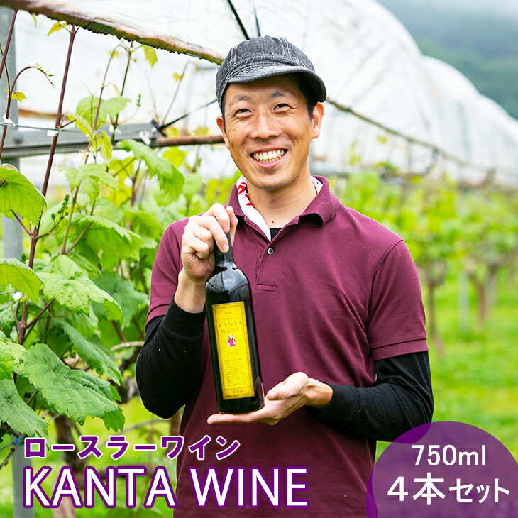 ロースラー ワイン KANTA WINE2024(赤) 750ml×4本セット かんたわいん かんたはうす 赤ワイン 花巻市 大迫 地域おこし協力隊