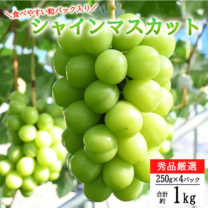 ＜予約受付！2025年秋発送＞シャインマスカット 粒パック 4個入 秀品厳選！
