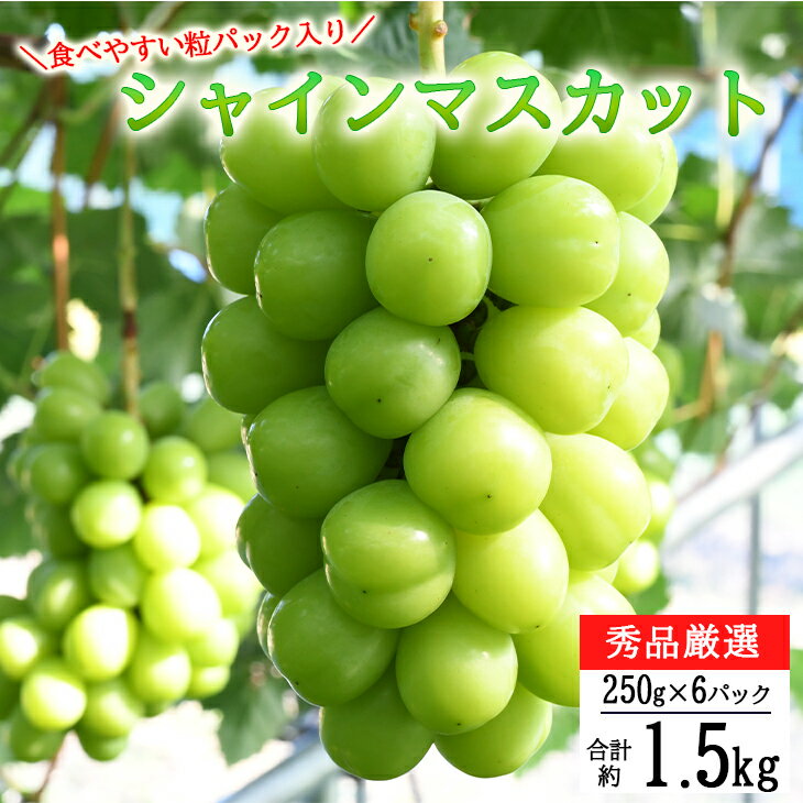 ＜予約受付！2025年秋発送＞シャインマスカット 粒パック 6個入 秀品厳選！