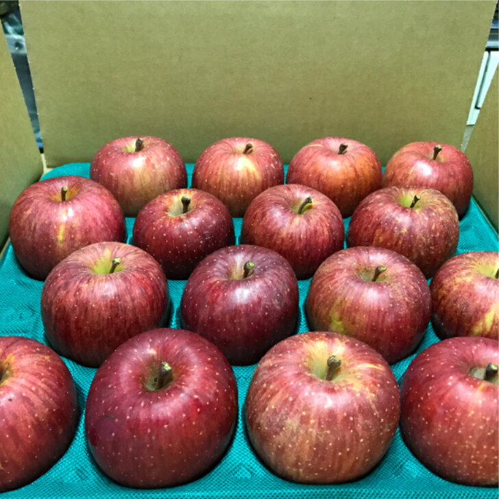 【ふるさと納税】≪予約受付≫りんごの王様サンふじ＜訳あり＞ 約3kg 約5kg 家庭用 規格外 ふるさと納税 りんご サムネイル2