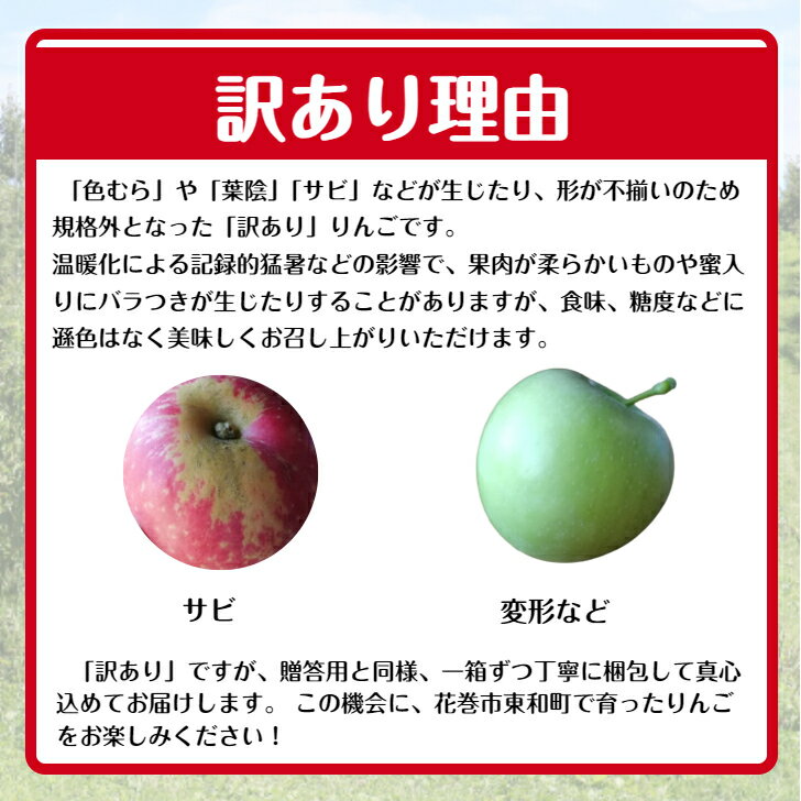【ふるさと納税】≪予約受付≫りんごの王様サンふじ＜訳あり＞ 約3kg 約5kg 家庭用 規格外 ふるさと納税 りんご サムネイル3