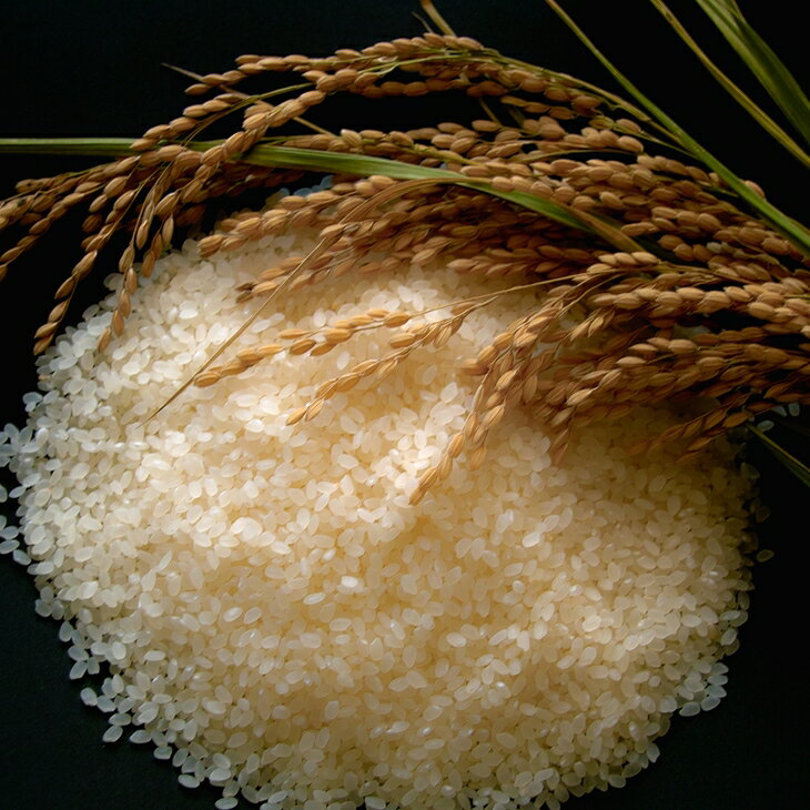 【ふるさと納税】花巻産ひとめぼれ 4kg（2kg×2袋）小分け 岩手県 花巻産 2025年産 令和7年産 米 - 画像3