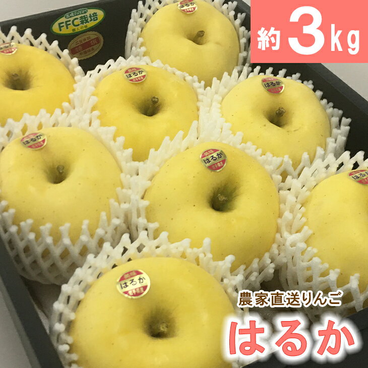 はるか3kg いわて花巻　ふるさと納税 りんご